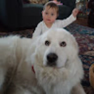 Meet your Posher, Julia